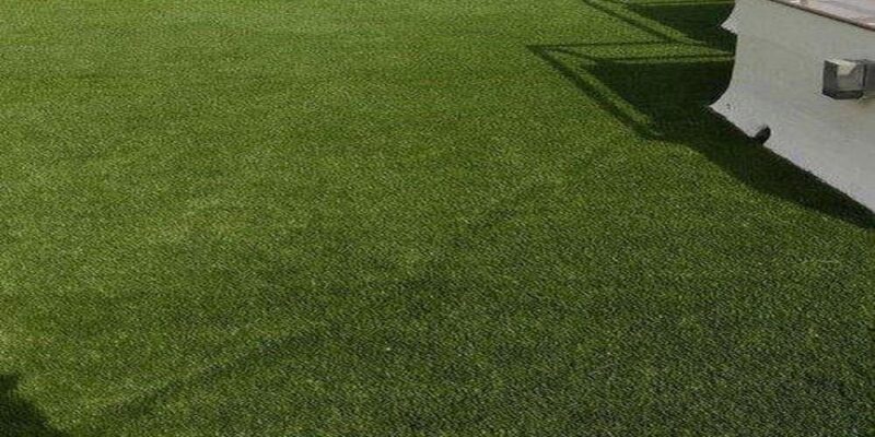 Is Artificial Grass the Right Choice for Your Lawn